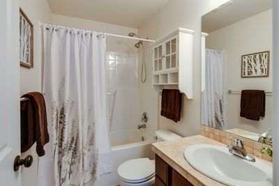 Residential bathroom with shower, tub, toilet, and vanity sink in a Congress Park, Denver home