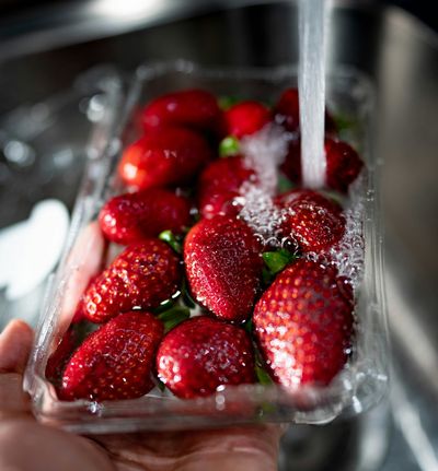 Strawberries being washed clean under kitchen sink